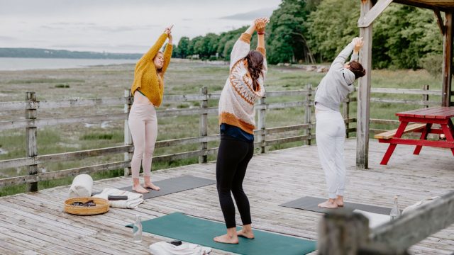 Cours de yoga du Triangle de l'Île au parc maritime